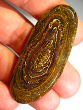 Laden Sie das Bild in den Galerie-Viewer, GEM Boulder Yowah Matrix Opal Nuss sensationelles Muster mit Vorschau VIDEO für Handschmeichler-Anhänger-Sammler-Vitrine