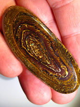 Laden Sie das Bild in den Galerie-Viewer, GEM Boulder Yowah Matrix Opal Nuss sensationelles Muster mit Vorschau VIDEO für Handschmeichler-Anhänger-Sammler-Vitrine