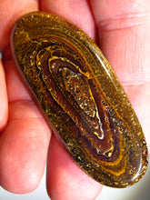 Laden Sie das Bild in den Galerie-Viewer, GEM Boulder Yowah Matrix Opal Nuss sensationelles Muster mit Vorschau VIDEO für Handschmeichler-Anhänger-Sammler-Vitrine