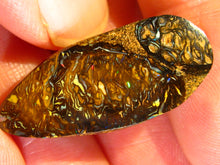 Laden Sie das Bild in den Galerie-Viewer, GEM Boulder Yowah Matrix Opal Nuss sensationelles Muster mit Vorschau VIDEO für Handschmeichler-Anhänger-Sammler-Vitrine