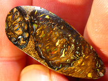 Laden Sie das Bild in den Galerie-Viewer, GEM Boulder Yowah Matrix Opal Nuss sensationelles Muster mit Vorschau VIDEO für Handschmeichler-Anhänger-Sammler-Vitrine