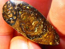 Laden Sie das Bild in den Galerie-Viewer, GEM Boulder Yowah Matrix Opal Nuss sensationelles Muster mit Vorschau VIDEO für Handschmeichler-Anhänger-Sammler-Vitrine