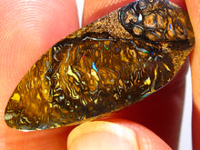 Laden Sie das Bild in den Galerie-Viewer, GEM Boulder Yowah Matrix Opal Nuss sensationelles Muster mit Vorschau VIDEO für Handschmeichler-Anhänger-Sammler-Vitrine