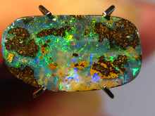 Laden Sie das Bild in den Galerie-Viewer, GEM Boulder Opal sensationelles MULTICOLOR FEUER mit Vorschau VIDEO für Ringstein-Anhänger-Handschmeichler-Anhänger-Sammler-Vitrine