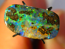 Laden Sie das Bild in den Galerie-Viewer, GEM Boulder Opal sensationelles MULTICOLOR FEUER mit Vorschau VIDEO für Ringstein-Anhänger-Handschmeichler-Anhänger-Sammler-Vitrine