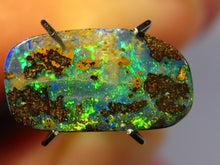 Laden Sie das Bild in den Galerie-Viewer, GEM Boulder Opal sensationelles MULTICOLOR FEUER mit Vorschau VIDEO für Ringstein-Anhänger-Handschmeichler-Anhänger-Sammler-Vitrine