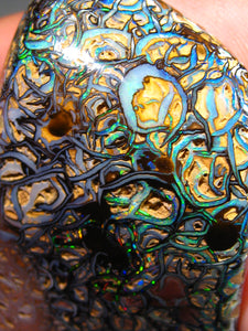 GEM Boulder Matrix Opal Nuss sensationelles Muster mit vorschau VIDEO - Repps-Opal
