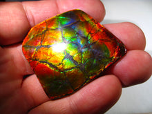 Laden Sie das Bild in den Galerie-Viewer, GEM Rarrr Doppelseiter Imperial Drachenschuppen Ammolith/Ammolite Stein mit Vorschau Video - Repps-Opal