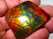 Laden Sie das Bild in den Galerie-Viewer, GEM Rarrr Doppelseiter Imperial Drachenschuppen Ammolith/Ammolite Stein mit Vorschau Video - Repps-Opal