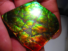 Laden Sie das Bild in den Galerie-Viewer, GEM Rarrr Doppelseiter Imperial Drachenschuppen Ammolith/Ammolite Stein mit Vorschau Video - Repps-Opal