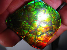 Laden Sie das Bild in den Galerie-Viewer, GEM Rarrr Doppelseiter Imperial Drachenschuppen Ammolith/Ammolite Stein mit Vorschau Video - Repps-Opal