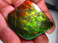 Laden Sie das Bild in den Galerie-Viewer, GEM Rarrr Doppelseiter Imperial Drachenschuppen Ammolith/Ammolite Stein mit Vorschau Video - Repps-Opal