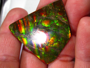 GEM Rarrr Doppelseiter Imperial Drachenschuppen Ammolith/Ammolite Stein mit Vorschau Video - Repps-Opal