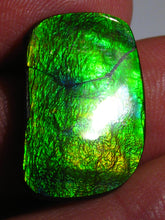 Laden Sie das Bild in den Galerie-Viewer, GEM Rarrr Doppelseiter Imperial Ammolith/Ammolite Stein mit Vorschau Video - Repps-Opal