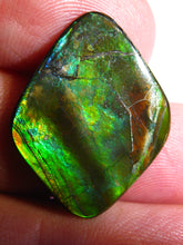 Laden Sie das Bild in den Galerie-Viewer, GEM Rarrr Doppelseiter Imperial Ammolith/Ammolite Stein mit Vorschau Video - Repps-Opal