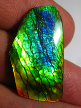 Laden Sie das Bild in den Galerie-Viewer, GEM Rarrr Doppelseiter Imperial Ammolith/Ammolite Stein mit Vorschau Video - Repps-Opal