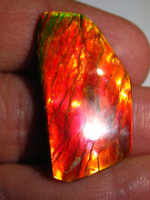 Laden Sie das Bild in den Galerie-Viewer, GEM Rarrr Doppelseiter Imperial Ammolith/Ammolite Stein mit Vorschau Video - Repps-Opal