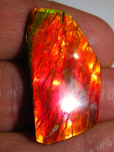 Laden Sie das Bild in den Galerie-Viewer, GEM Rarrr Doppelseiter Imperial Ammolith/Ammolite Stein mit Vorschau Video - Repps-Opal