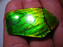Laden Sie das Bild in den Galerie-Viewer, GEM Rarrr Doppelseiter Imperial Ammolith/Ammolite Stein mit Vorschau Video - Repps-Opal
