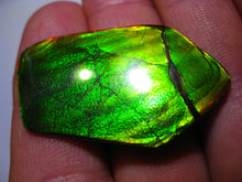 Laden Sie das Bild in den Galerie-Viewer, GEM Rarrr Doppelseiter Imperial Ammolith/Ammolite Stein mit Vorschau Video - Repps-Opal
