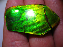 Laden Sie das Bild in den Galerie-Viewer, GEM Rarrr Doppelseiter Imperial Ammolith/Ammolite Stein mit Vorschau Video - Repps-Opal