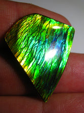 Laden Sie das Bild in den Galerie-Viewer, GEM Rarrr Doppelseiter Imperial Ammolith/Ammolite Stein mit Vorschau Video - Repps-Opal