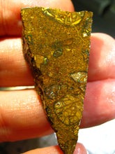 Laden Sie das Bild in den Galerie-Viewer, 56 cts Australien Roh/rough Yowah Boulder Matrix Opal Sammler Schleifer