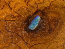 Laden Sie das Bild in den Galerie-Viewer, Lightning Ridge Opal - Repps-Opal