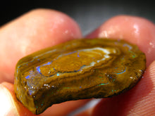 Laden Sie das Bild in den Galerie-Viewer, 24 cts Australien Roh/rough Yowah Nuss Nut Boulder Matrix Opal Sammler Schleifer mit VORSCHAU Video