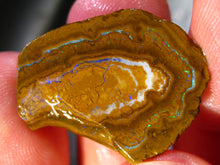 Laden Sie das Bild in den Galerie-Viewer, 24 cts Australien Roh/rough Yowah Nuss Nut Boulder Matrix Opal Sammler Schleifer mit VORSCHAU Video