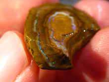 Laden Sie das Bild in den Galerie-Viewer, 24 cts Australien Roh/rough Yowah Nuss Nut Boulder Matrix Opal Sammler Schleifer mit VORSCHAU Video