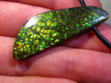Laden Sie das Bild in den Galerie-Viewer, GEM RARR Ammolite Drachenschuppen Ammolith Anhänger mit Läderband Ein Traum - Repps-Opal