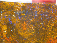 Laden Sie das Bild in den Galerie-Viewer, 242 cts Australien Roh/rough Yowah Boulder Matrix Opal - Repps-Opal