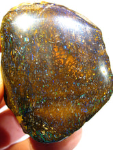 Laden Sie das Bild in den Galerie-Viewer, 740 cts GEM Boulder Matrix Opal Koroit Skin Nuss TRAUMHAFT VORSCHAU Video - Repps-Opal