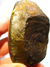 Laden Sie das Bild in den Galerie-Viewer, 740 cts GEM Boulder Matrix Opal Koroit Skin Nuss TRAUMHAFT VORSCHAU Video - Repps-Opal