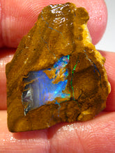 Laden Sie das Bild in den Galerie-Viewer, Australien Roh/rough Yowah NUSS Boulder Matrix Opal Sammler Schleifer