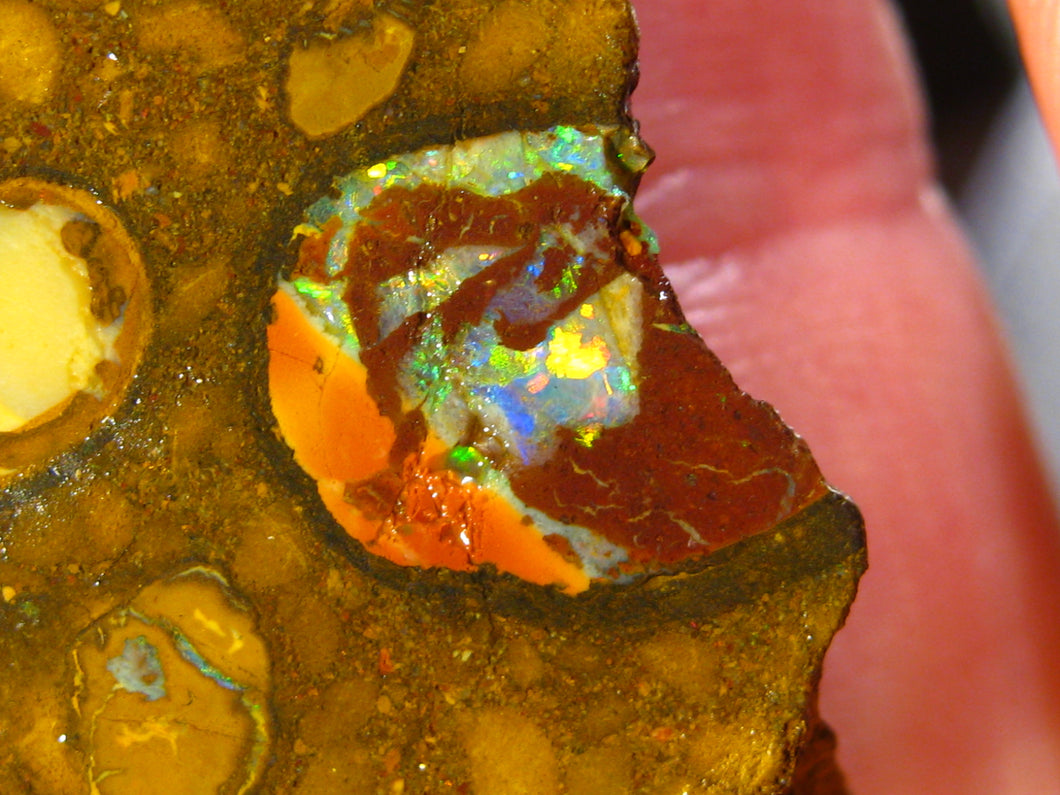 Australien Roh/rough Yowah NUSS Boulder Matrix Opal Sammler Schleifer