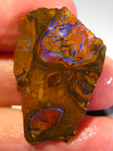 Australien Roh/rough Yowah NUSS Boulder Matrix Opal Sammler Schleifer