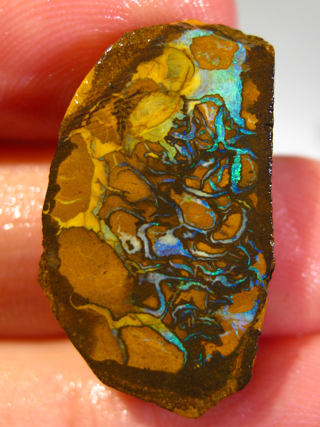 Australien Roh/rough Yowah NUSS Boulder Matrix Opal Sammler Schleifer