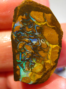 Australien Roh/rough Yowah NUSS Boulder Matrix Opal Sammler Schleifer