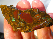 Laden Sie das Bild in den Galerie-Viewer, Australien Roh/rough Yowah NUSS Boulder Matrix Opal Sammler Schleifer