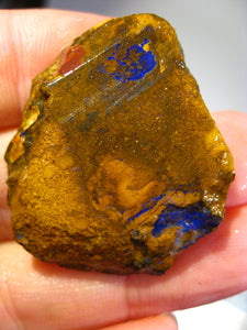 Australien Roh/rough Yowah NUSS Boulder Matrix Opal Sammler Schleifer