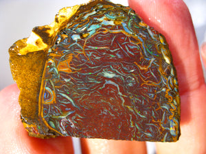 Australien Roh/rough Yowah NUSS Boulder Matrix Opal Sammler Schleifer