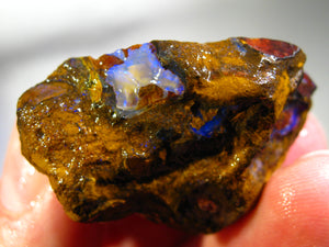 135 cts Australien Roh/rough Yowah NUSS Boulder Matrix Opal Sammler Schleifer
