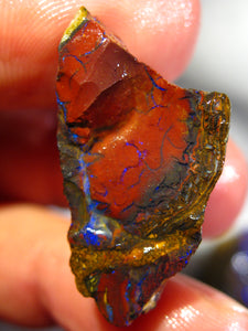 54 cts Australien Roh/rough Yowah NUSS Boulder Matrix Opal Sammler Schleifer