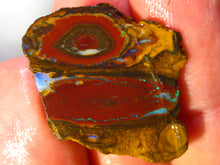 Laden Sie das Bild in den Galerie-Viewer, 43 cts Australien Roh/rough Yowah NUSS Boulder Matrix Opal Sammler Schleifer