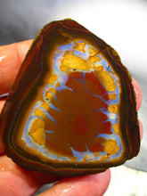 Laden Sie das Bild in den Galerie-Viewer, 256 cts Australien Roh/rough Yowah NUSS Boulder Matrix Opal Sammler Schleifer