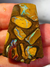 Laden Sie das Bild in den Galerie-Viewer, 84 cts Australien Roh/rough Yowah NUSS Boulder Matrix Opal Sammler Schleifer