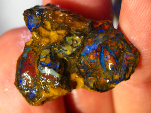 39 cts Australien Roh/rough Yowah NUSS Boulder Matrix Opal Sammler Schleifer