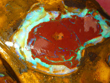 Laden Sie das Bild in den Galerie-Viewer, 85 cts Australien Roh/rough Yowah NUSS Boulder Matrix Opal Sammler Schleifer
